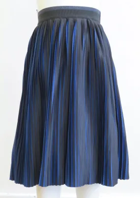 Black and blue pleated skirt