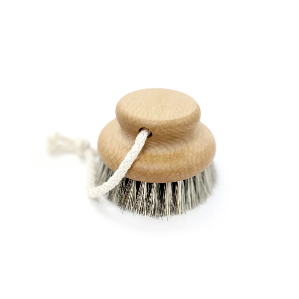 DRY MASSAGE BRUSH