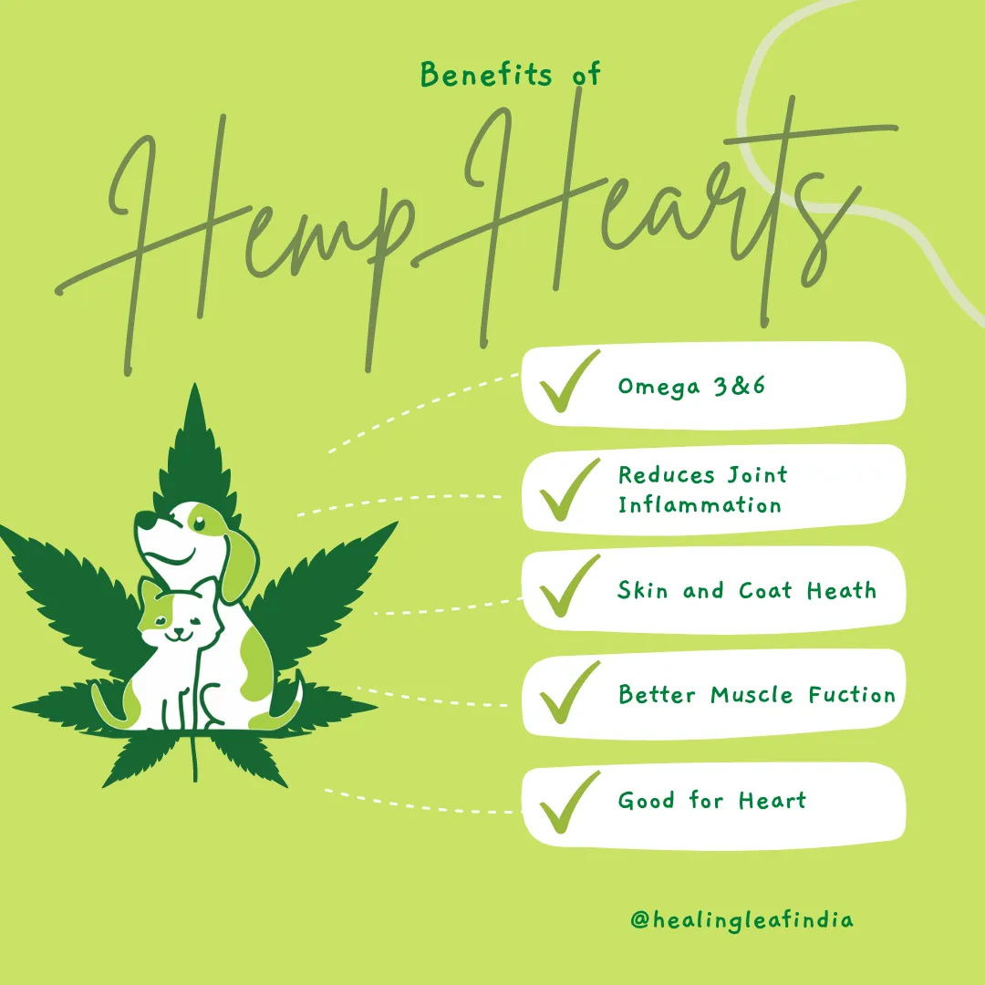 Healing Leaf Hemp Hearts and Bark Out Loud Glow and Shine Turmeric Chew Stix for Dogs and Cats Combo