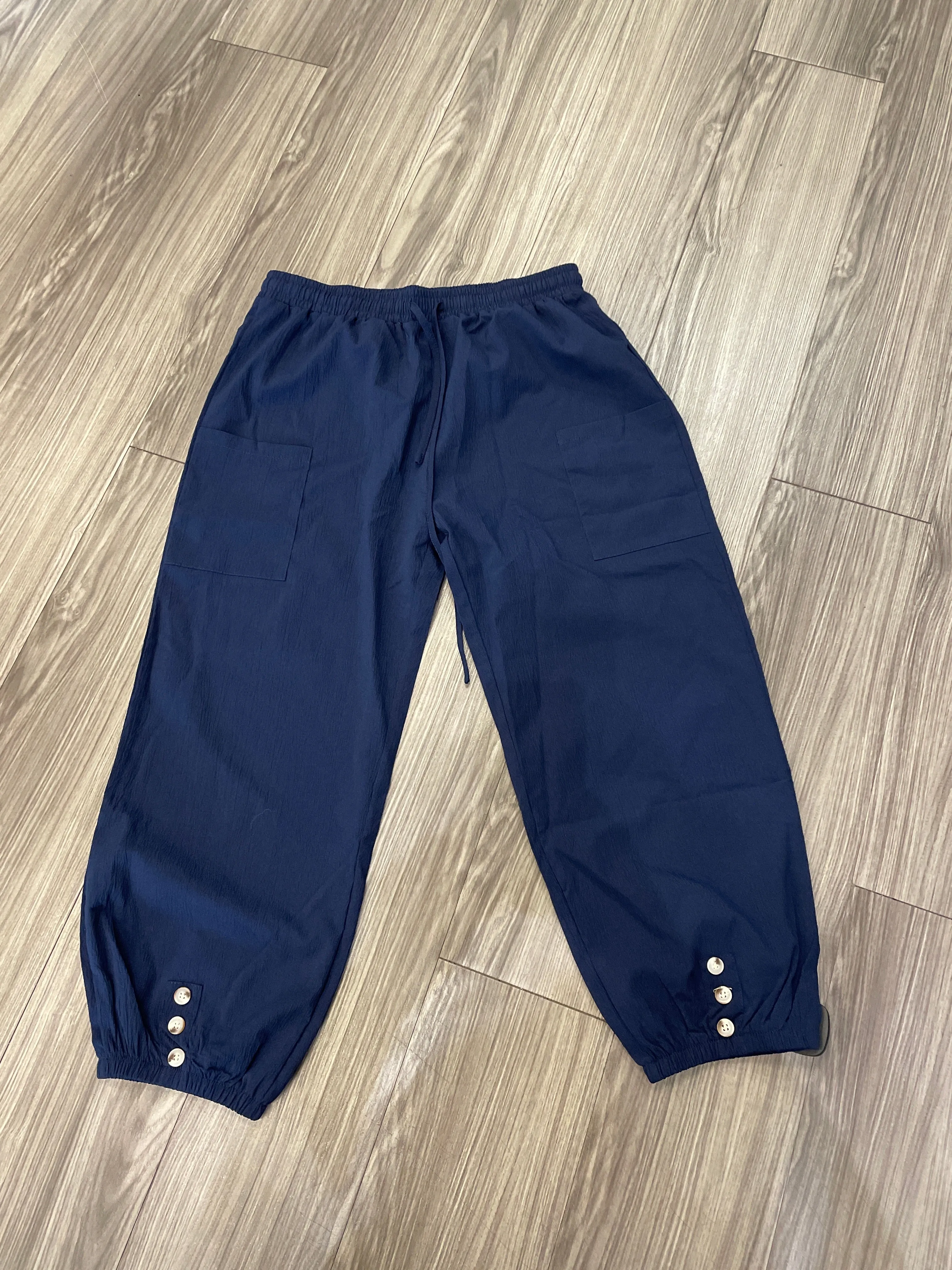 Navy Pants Joggers Clothes Mentor, Size Xl