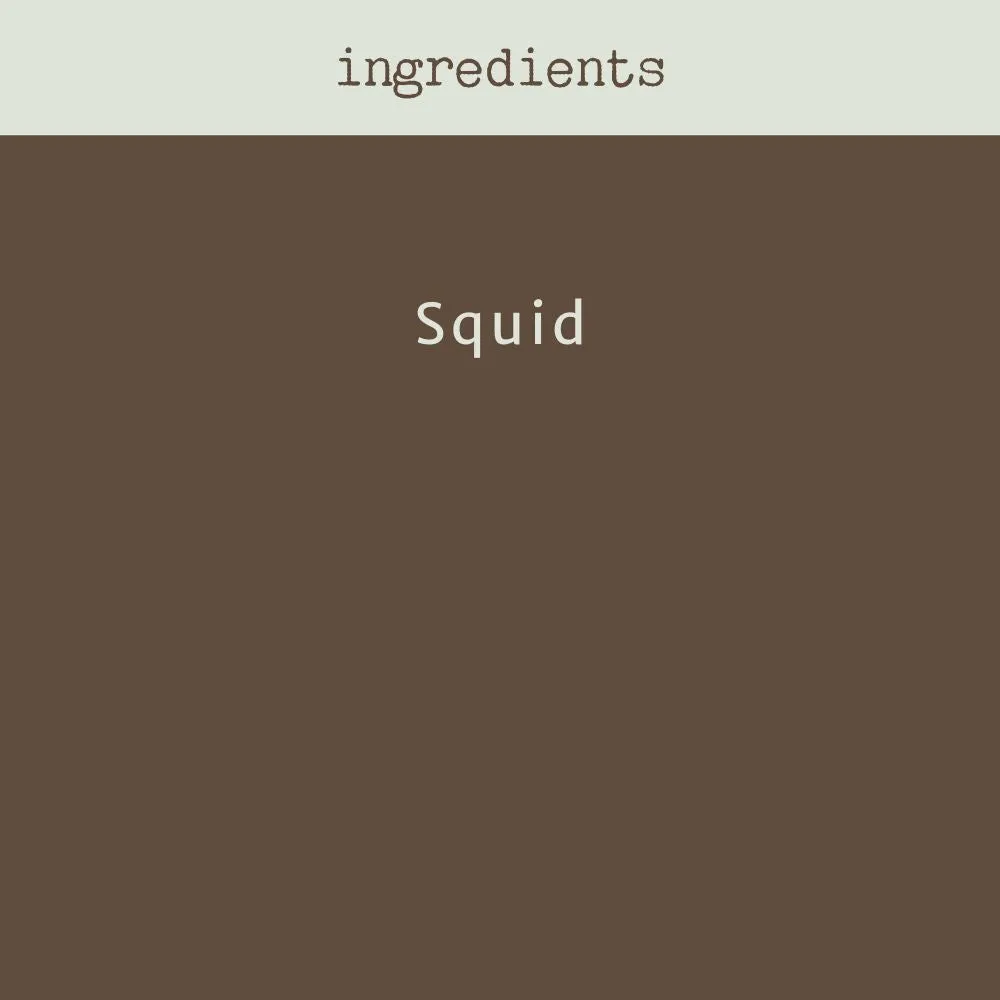 Squid - Calamari