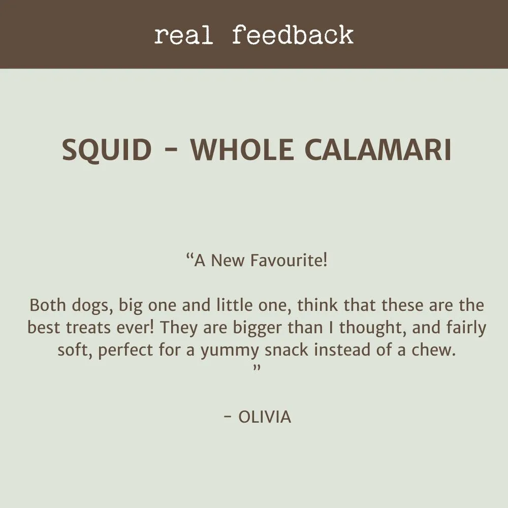 Squid - Calamari