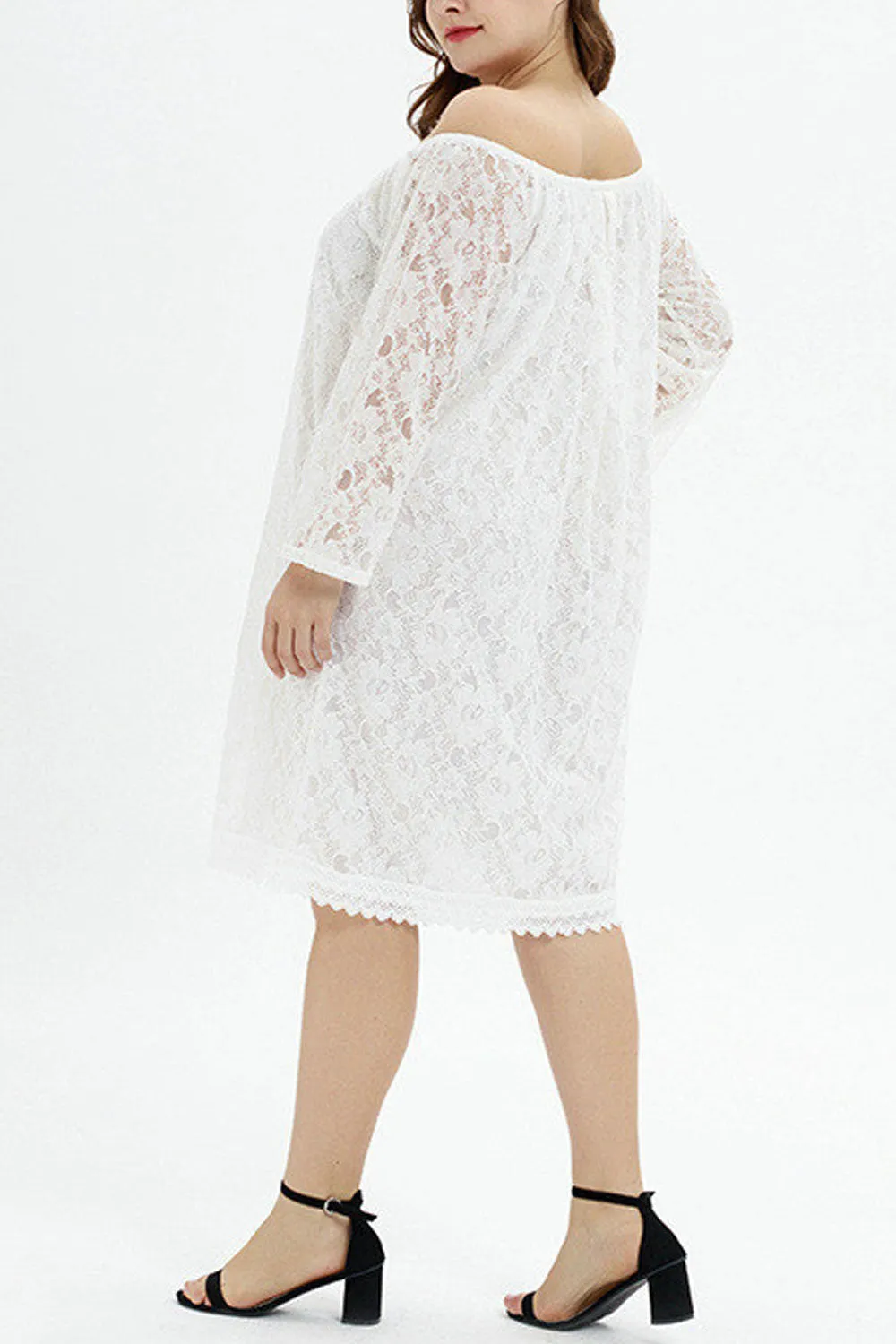 Women Elegant Lace Decorated Off-Shoulder Neck Long Sleeve Superb Loose Fit Shift Dress - WD118195