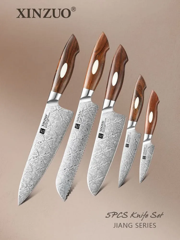 XINZUO 5-Piece  110 Layers Damascus Steel Kitchen Knife Set-Jiang Series